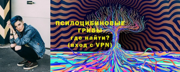 сатива Липки