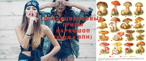 сатива Липки