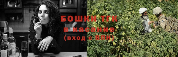 сатива Липки
