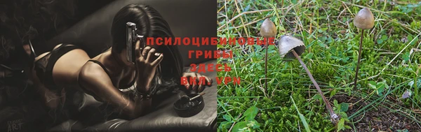 сатива Липки