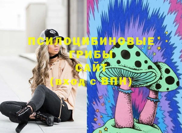 сатива Липки