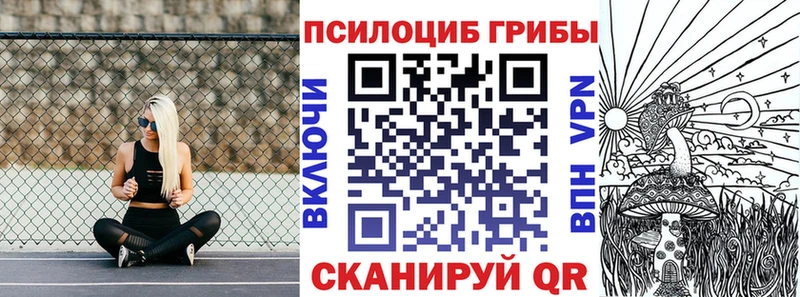 продажа наркотиков  Волгоград  Псилоцибиновые грибы Psilocybine cubensis 
