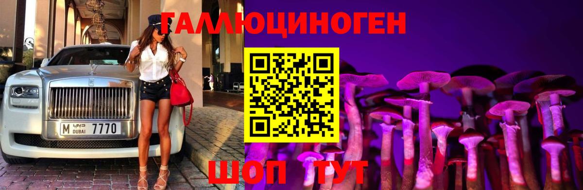 Галлюциногенные грибы Psilocybe  Волгоград 