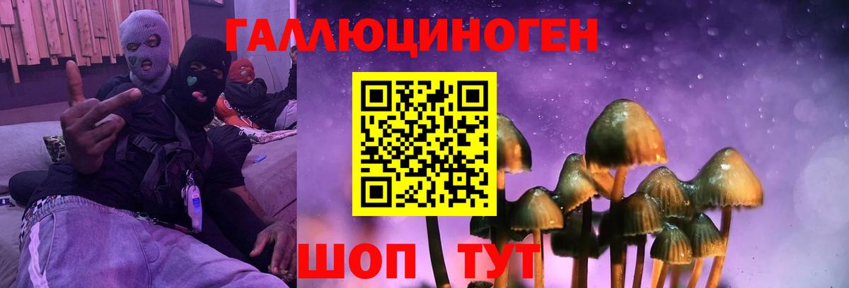 Галлюциногенные грибы GOLDEN TEACHER Волгоград