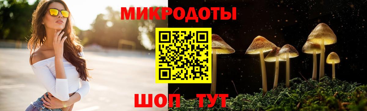 Галлюциногенные грибы Cubensis Волгоград